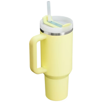 Stainless Steel Tumbler