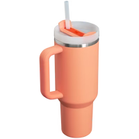 Stainless Steel Tumbler